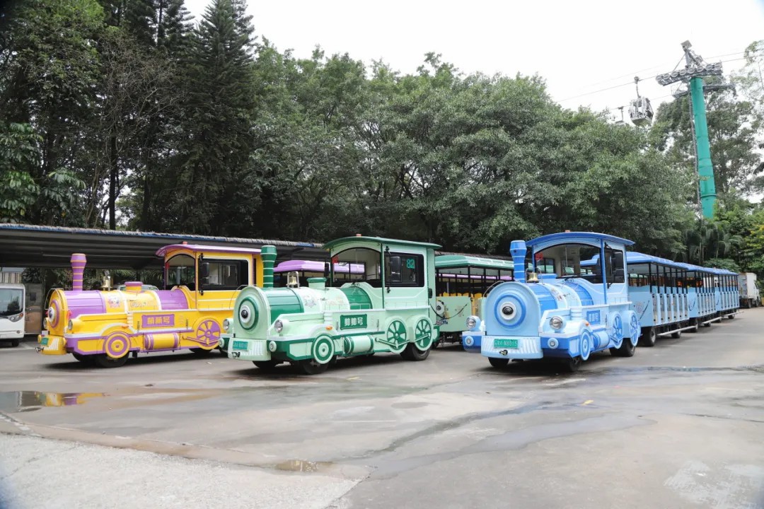 4万公里 ，100%出勤率！亿万先生MR观光车助力长隆打造沉浸式生态之旅