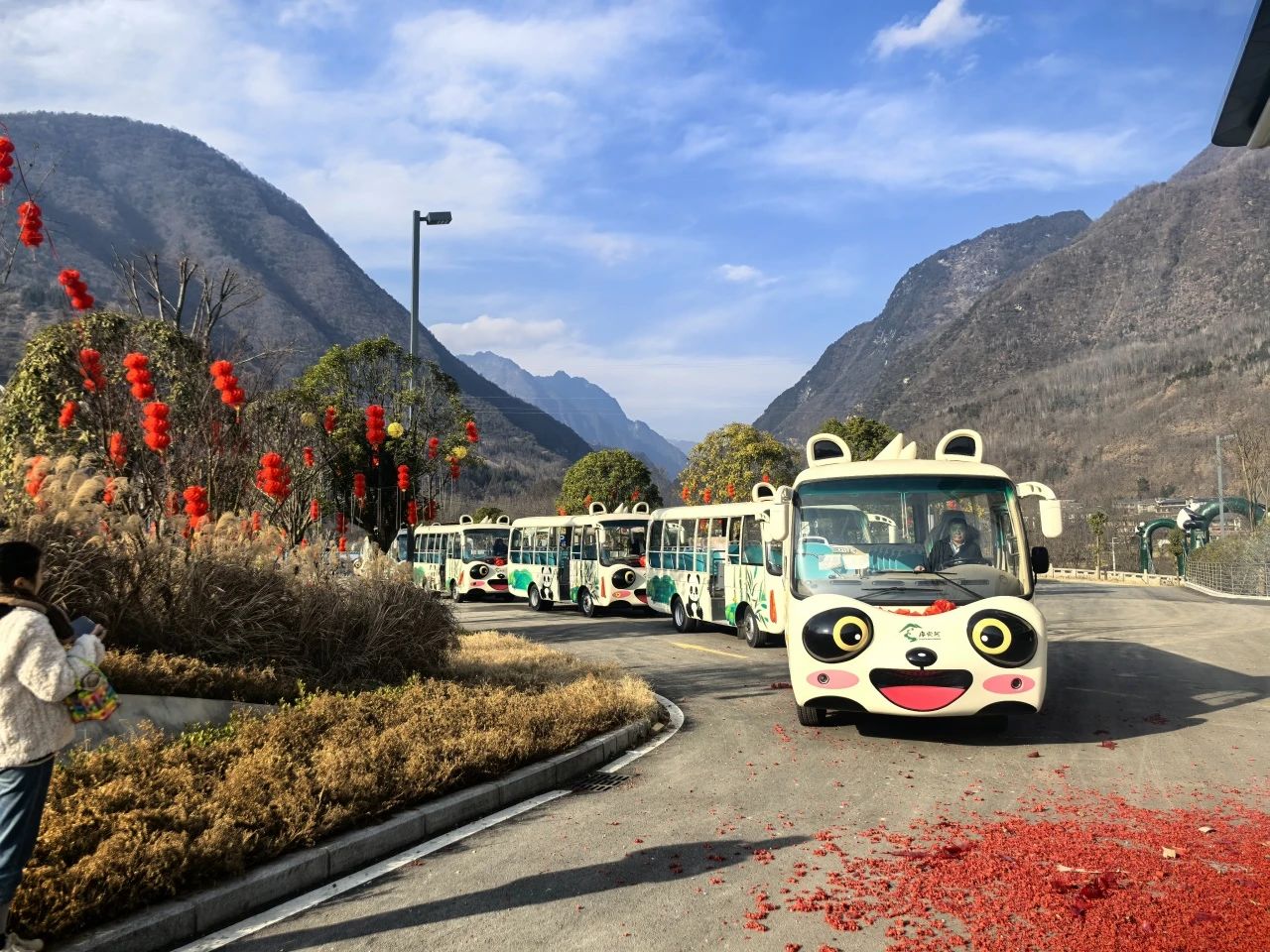 2025年景区交通该往哪儿发力？亿万先生MR观光车助力打造景区交通运营新“范式”